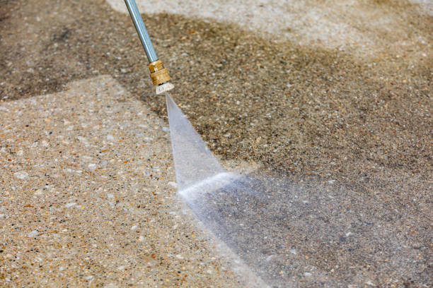 Best Spring Cleaning  in Camas, WA