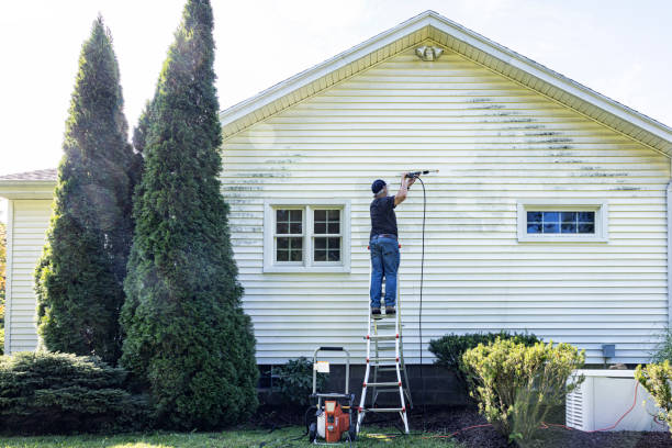 Best Solar Panel Cleaning  in Camas, WA
